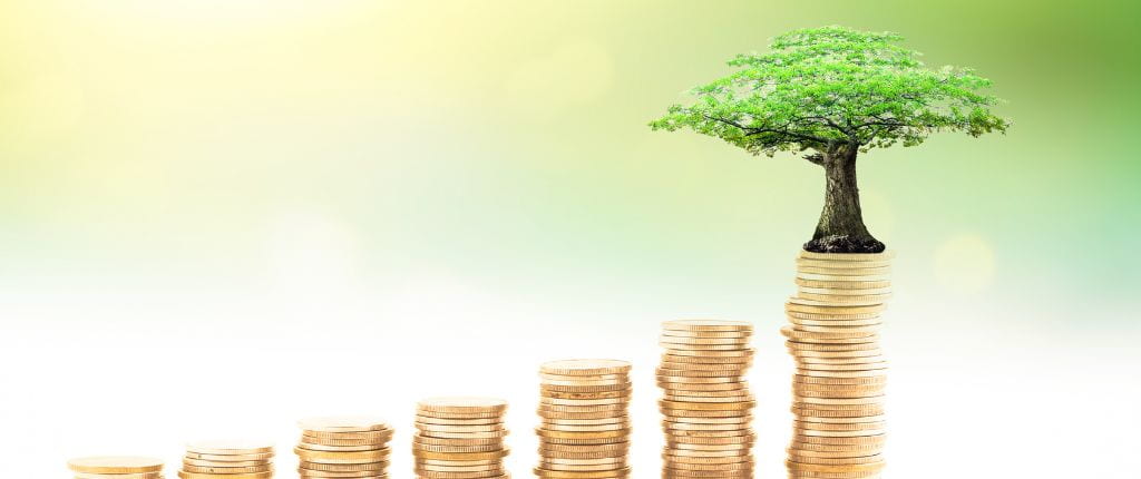 Seven stacks of coins gradually getting taller from left to right with the stack on the far right the tallest and with a tree blooming out of the top.